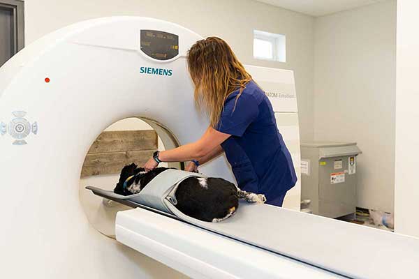 Advanced Imaging